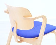 Lataa kuva Galleria-katseluun, Aslak tuoli koivu / sininen